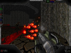 Tear away at enhanced demons using monster machine guns, face-melting fusion cannons, and much, much more!
